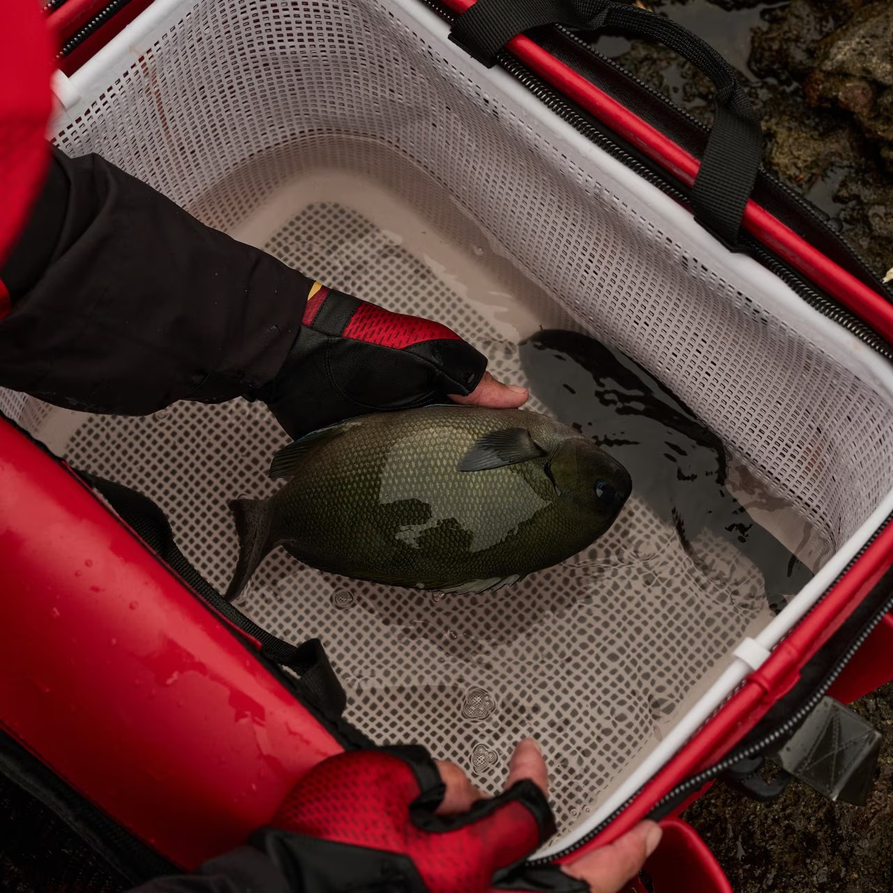 25 BK-123Y 網狀內袋 | 145024