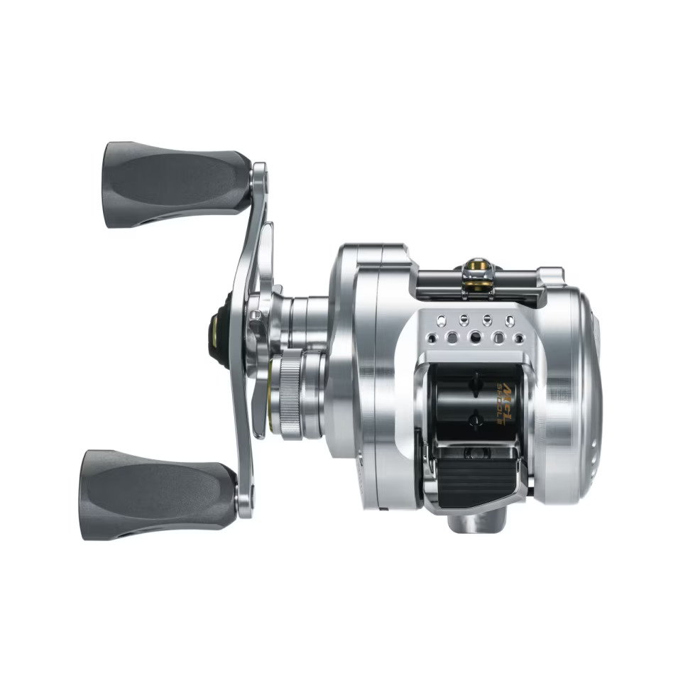 26 CALCUTTA CONQUEST BFS LIMITED