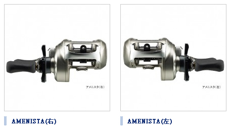 AMENISTA