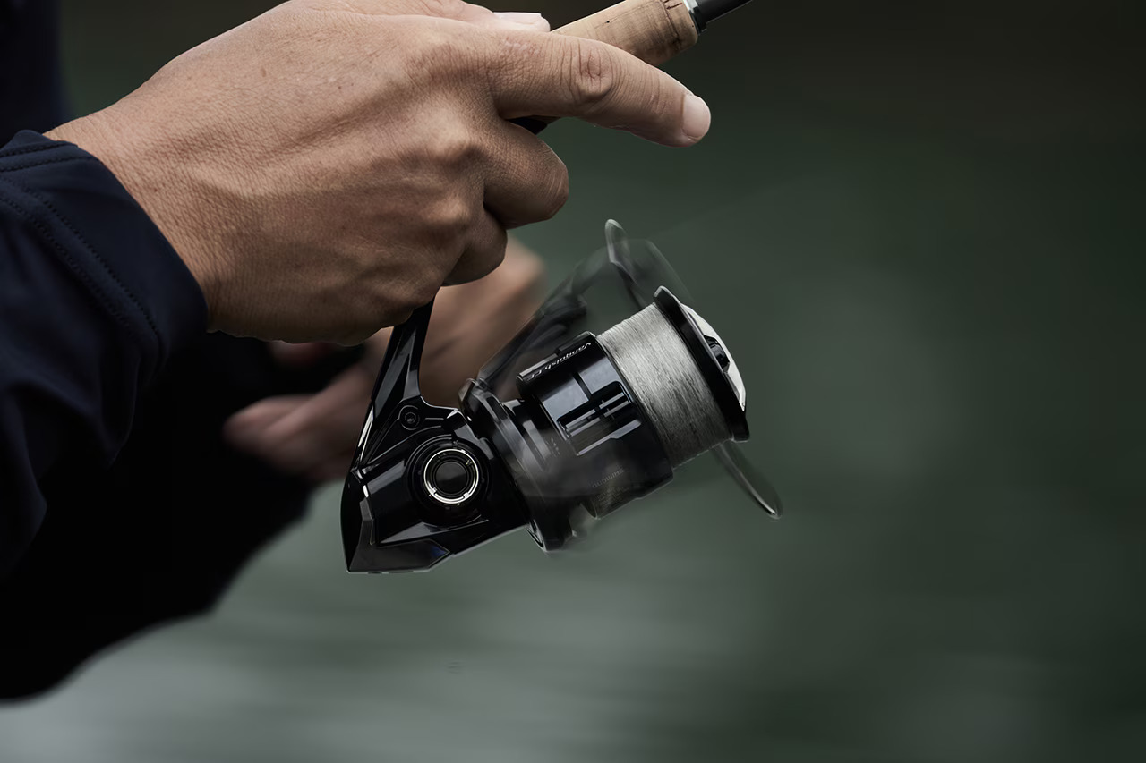 23 BB-X DESPINA 049247