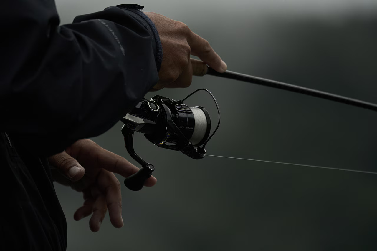 23 BB-X DESPINA 049247