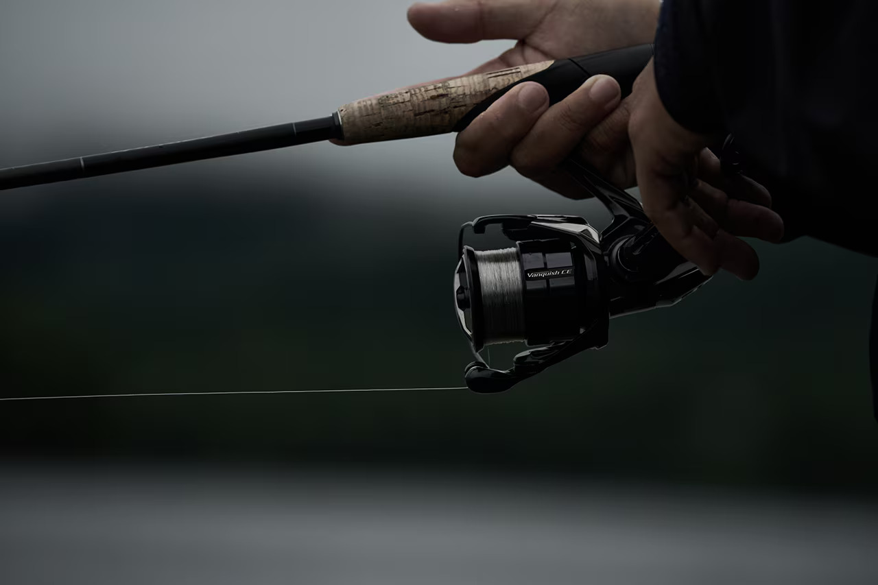 23 BB-X DESPINA 049247