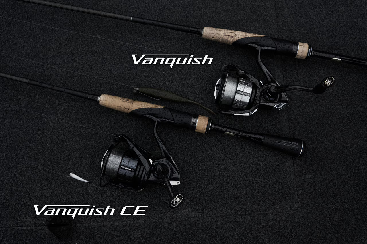 23 BB-X DESPINA 049247