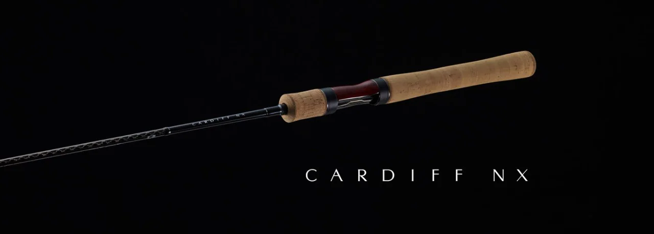 CARDIFF NX