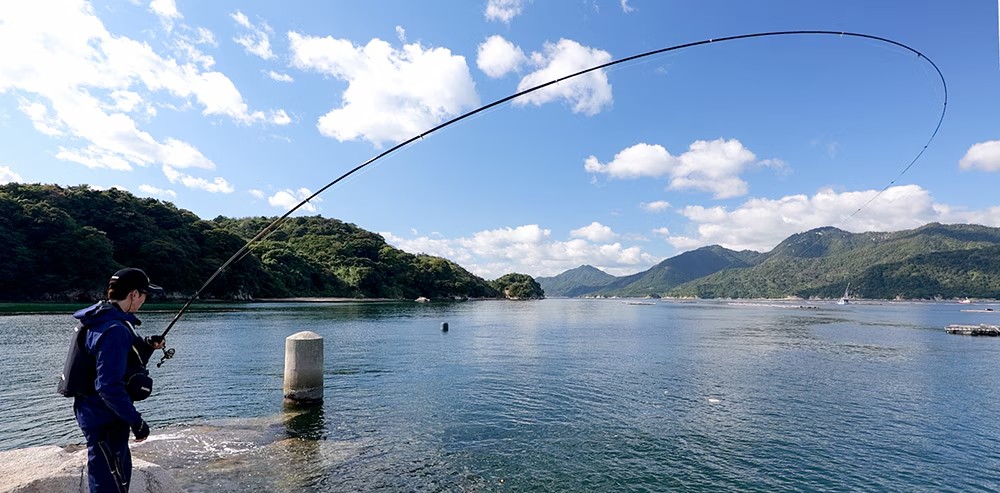 25 RINKAI 272270-203359-203366 | 前打