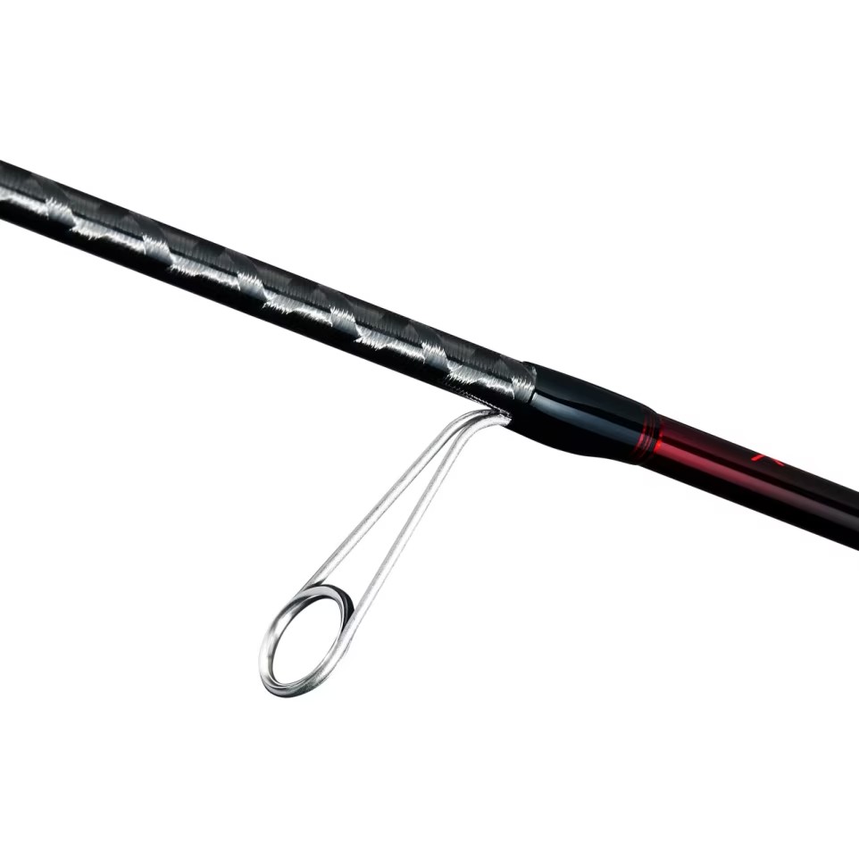  25 Sephia LIMITED 358622 | 前打