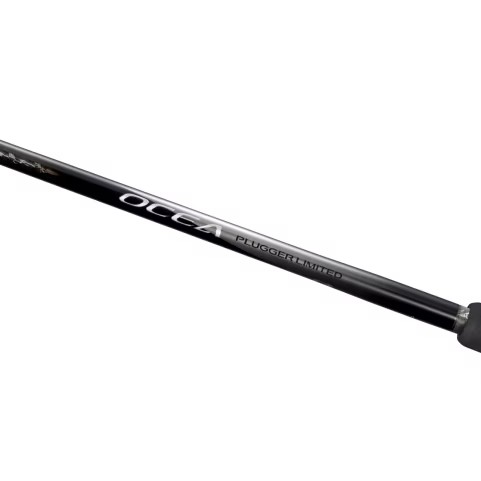  25 OCEA PLUGGER LIMITED 393258