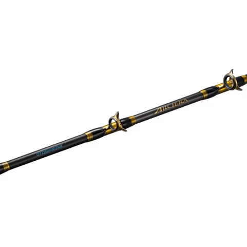  25 ARCIERA落入釣 273802