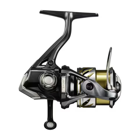 25 Soare XR  048950
