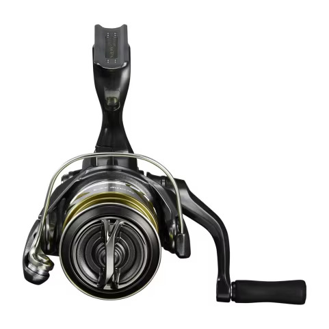 25 Soare XR  048950