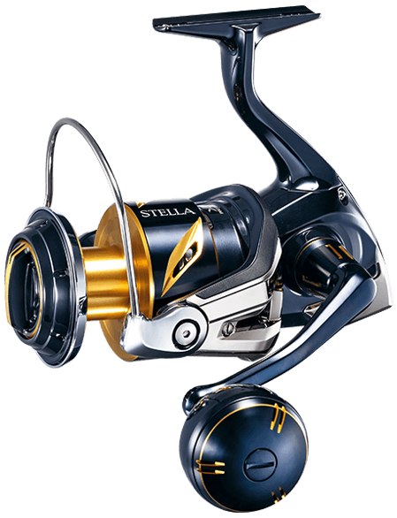 楽天市場】19 ステラ sw 14000xgの通販