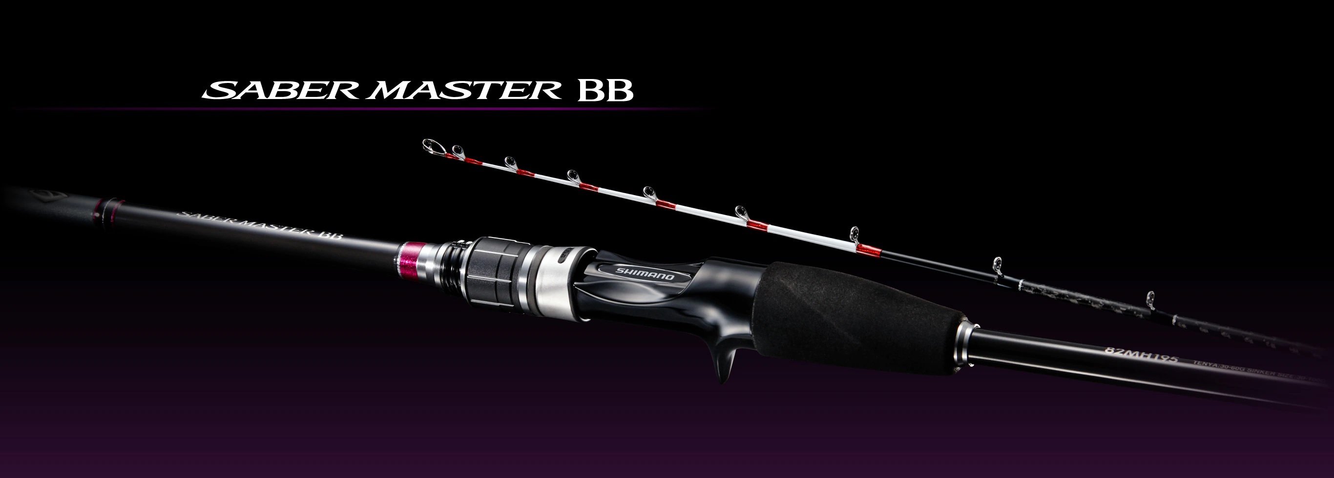 21 SABER MASTER BB 259769-258847-258885-258854-259776-255861-258878 | 天亞竿 TENYA | 白帶魚的專用竿