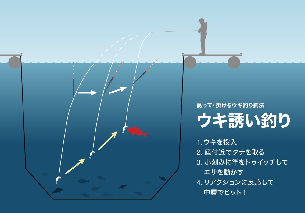 26 SEAREA XTUNE 277305 | 前打