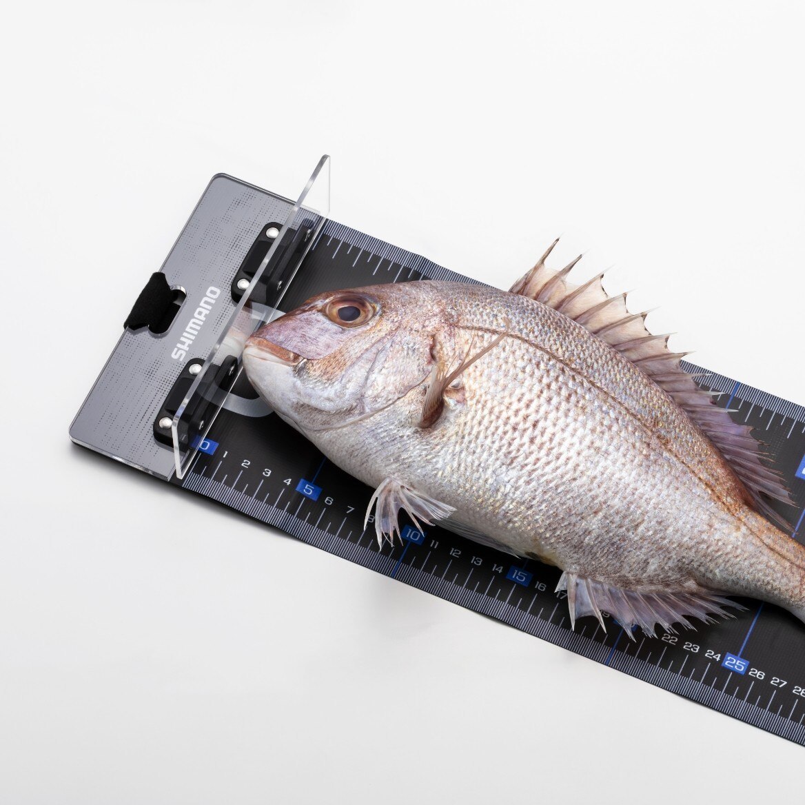 163752 26 UL-802Z 寬版魚尺