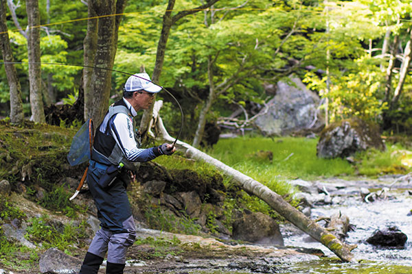 BG TENKARA 48NV