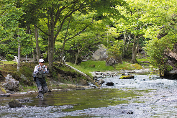 BG TENKARA 48NV