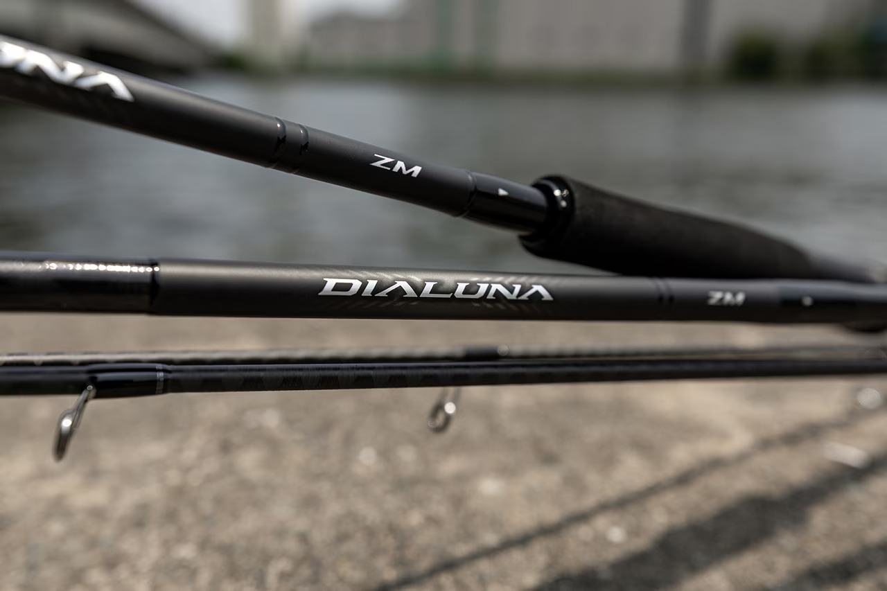 25 DIALUNA ZM 273765 | 前打