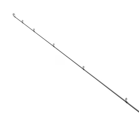  25 NESSA XTUNE 398062